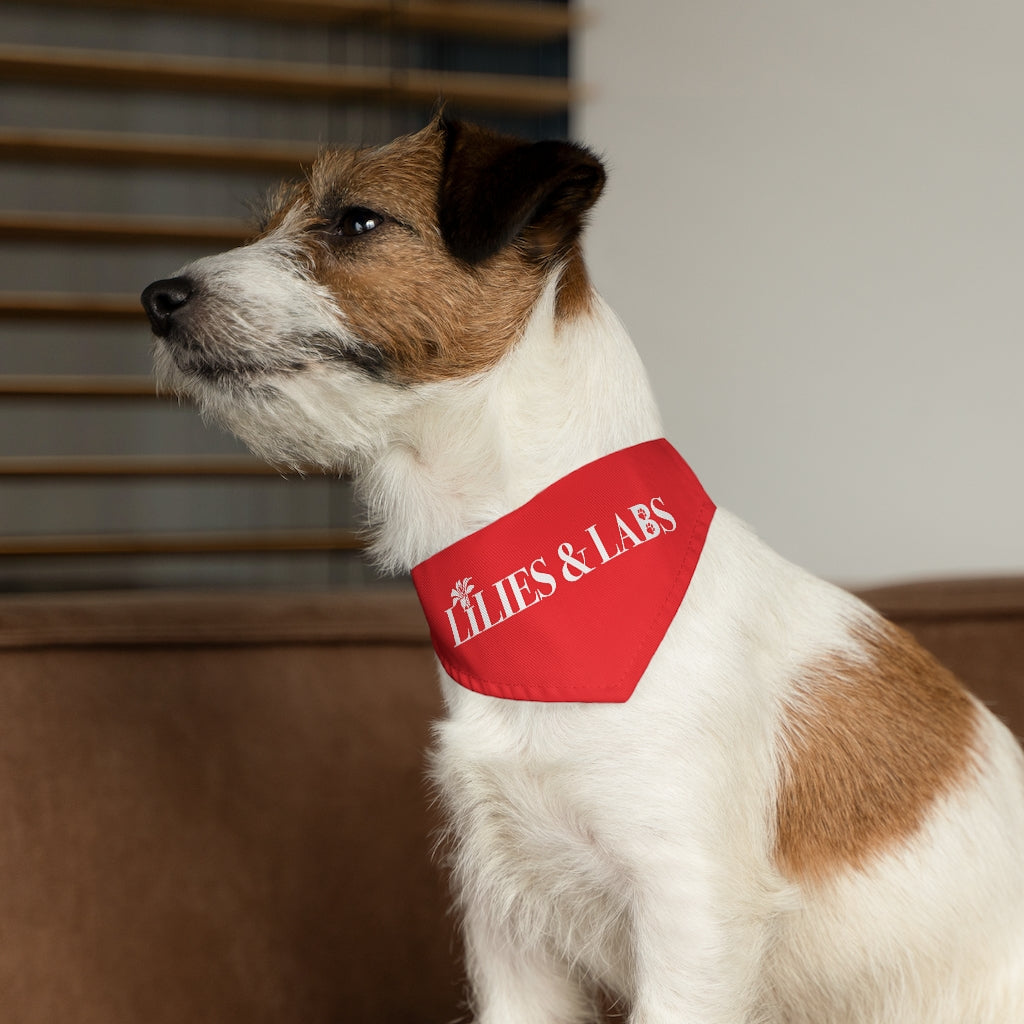 Red Pet Bandana Collar