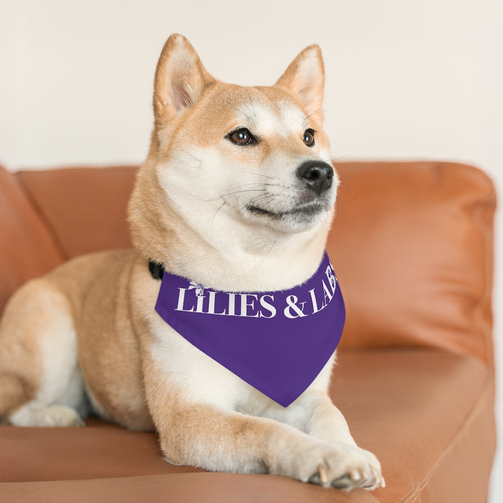 Purple Pet Bandana Collar