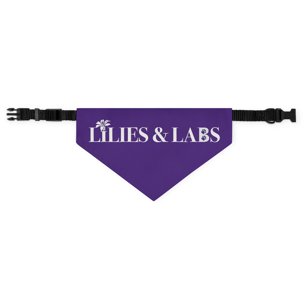 Purple Pet Bandana Collar