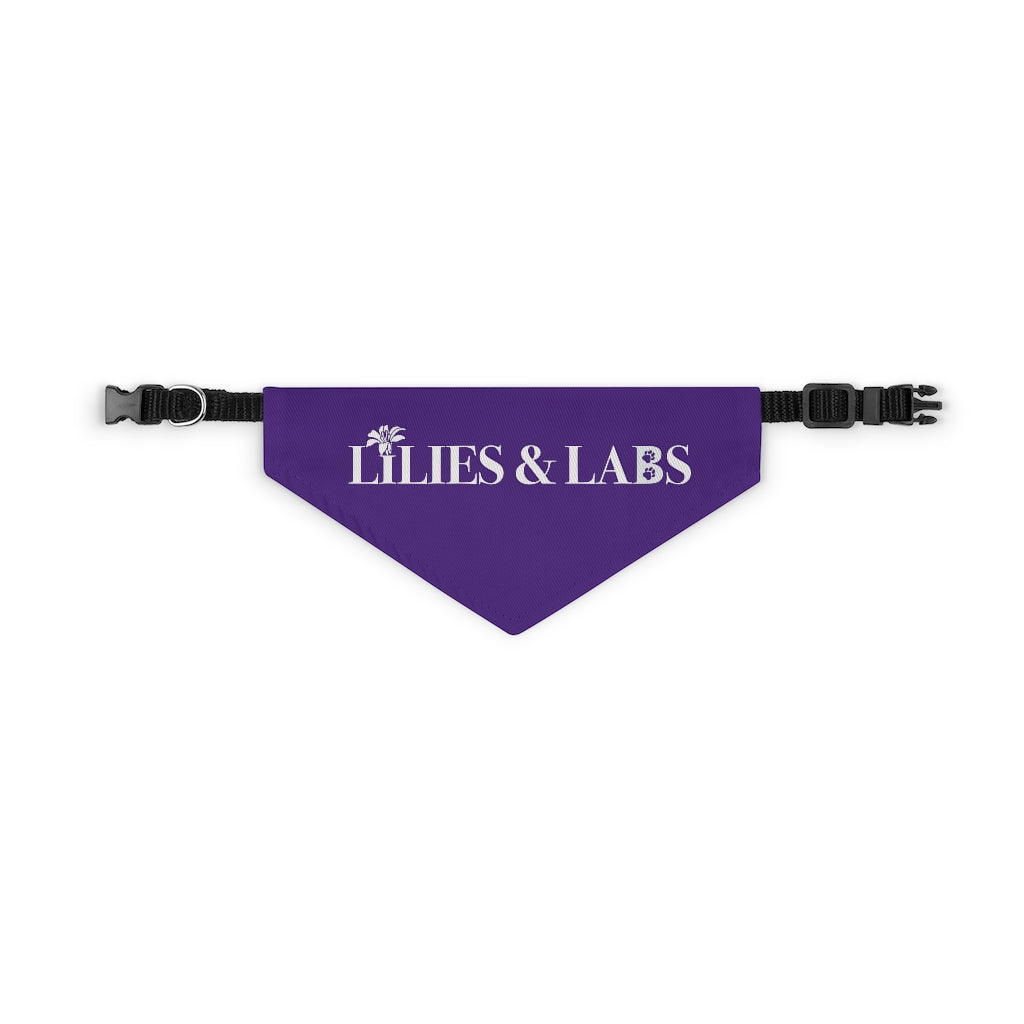 Purple Pet Bandana Collar