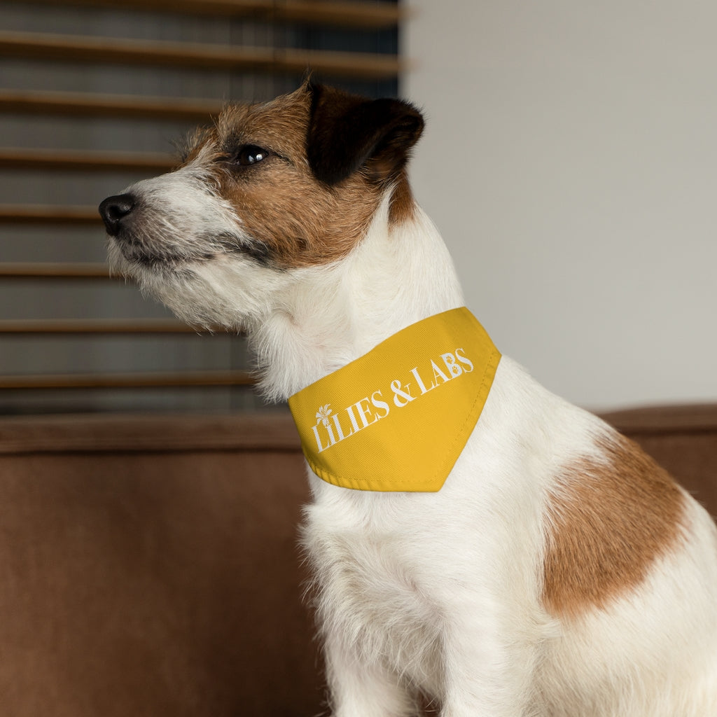 Yellow Pet Bandana Collar