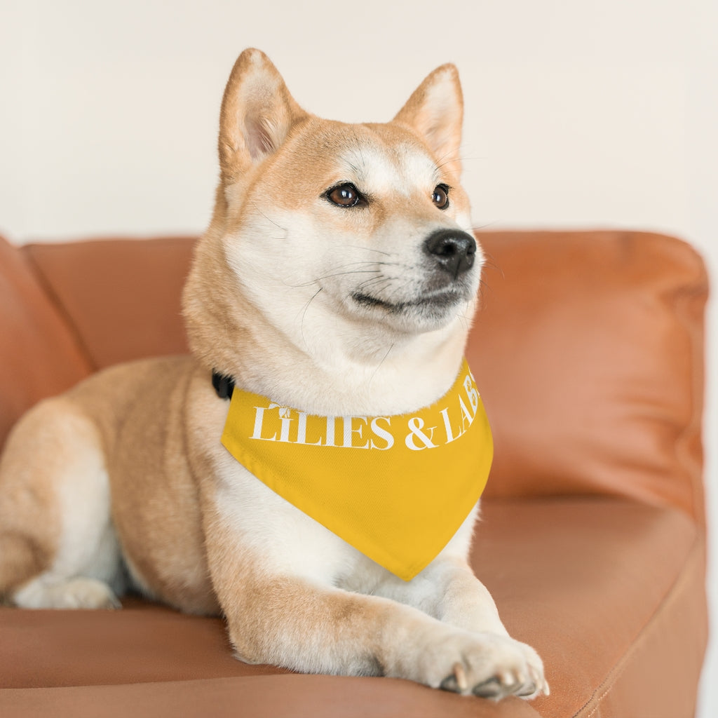 Yellow Pet Bandana Collar