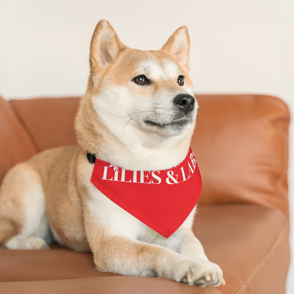 Red Pet Bandana Collar