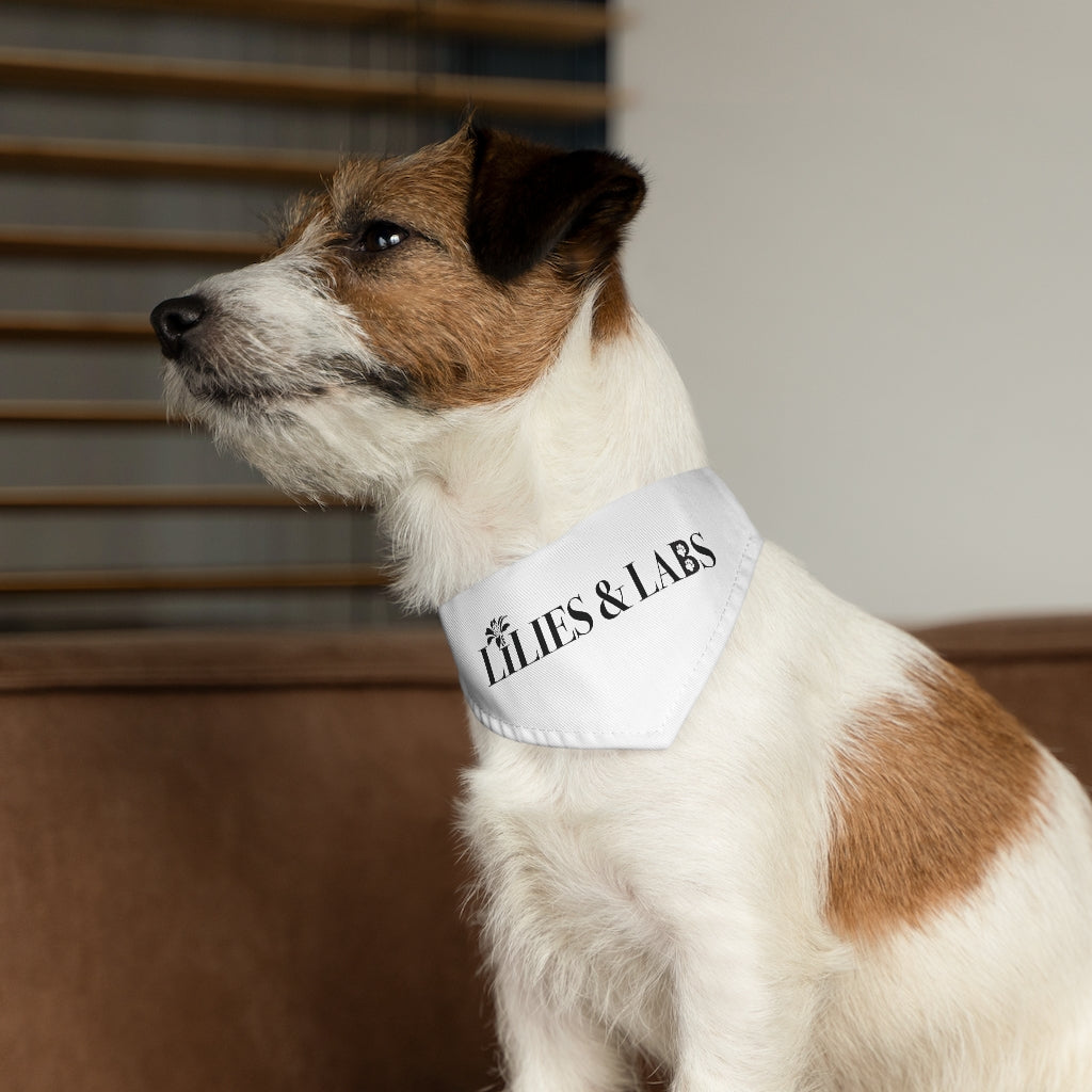 White Pet Bandana Collar