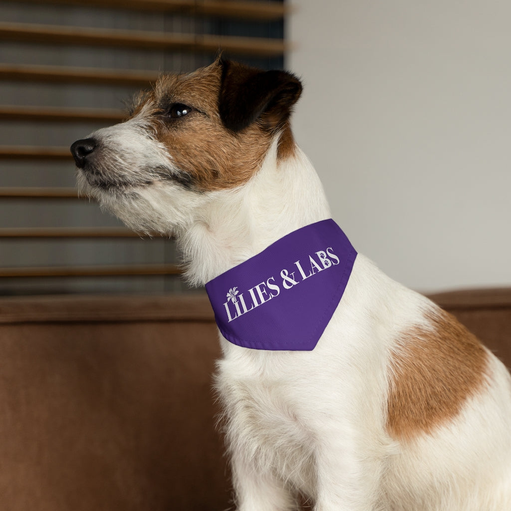 Purple Pet Bandana Collar