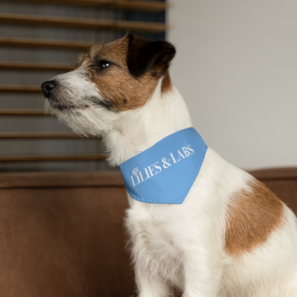 Blue Pet Bandana Collar