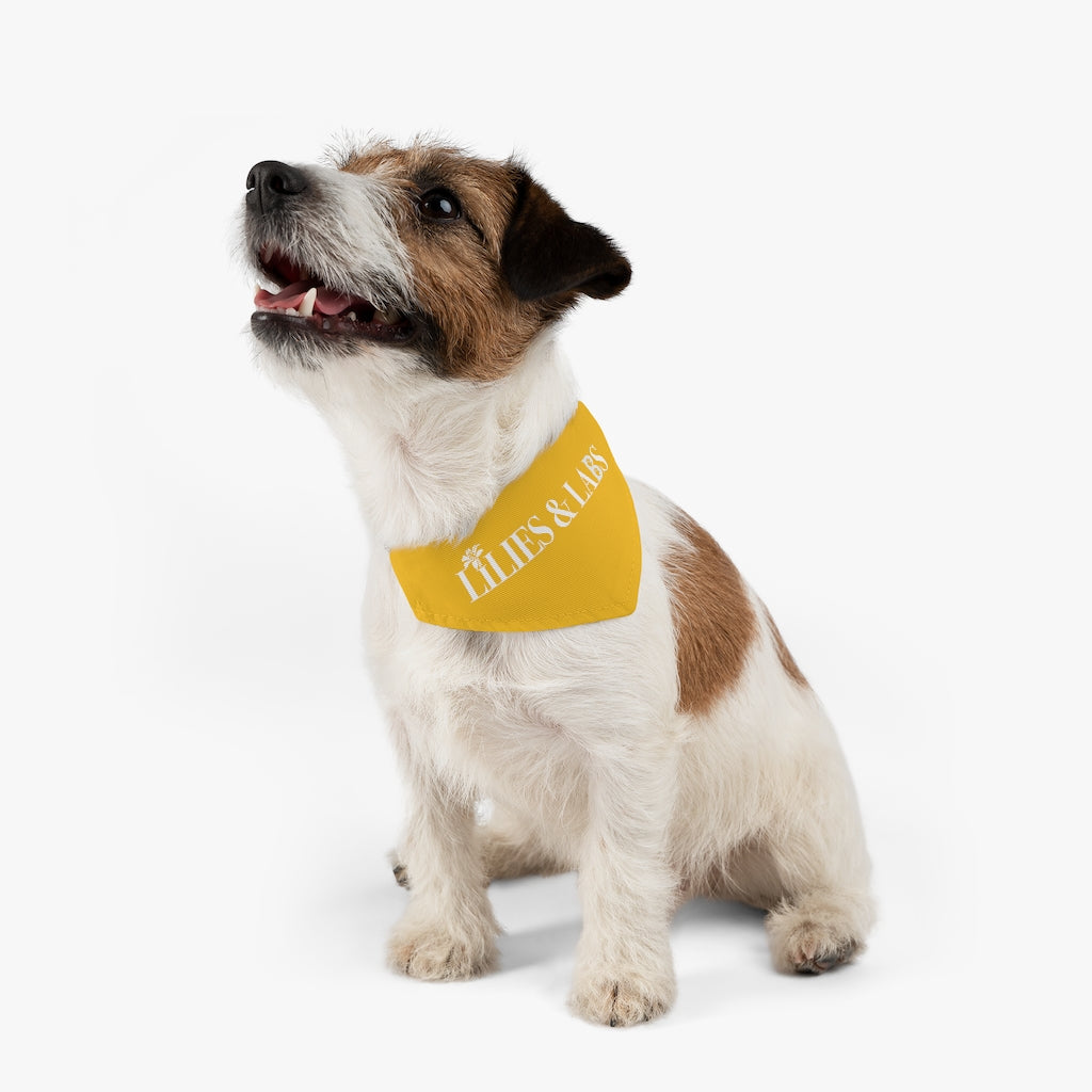 Yellow Pet Bandana Collar