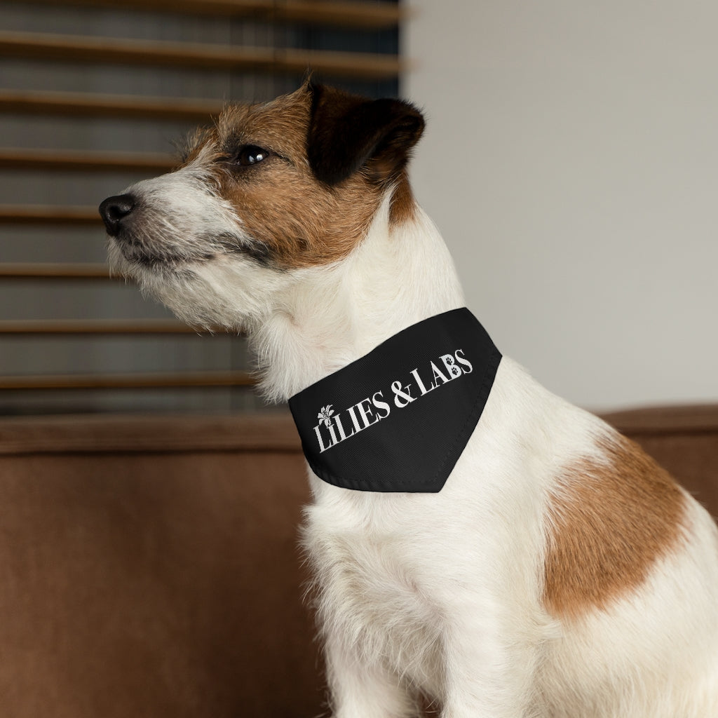 Black Pet Bandana Collar