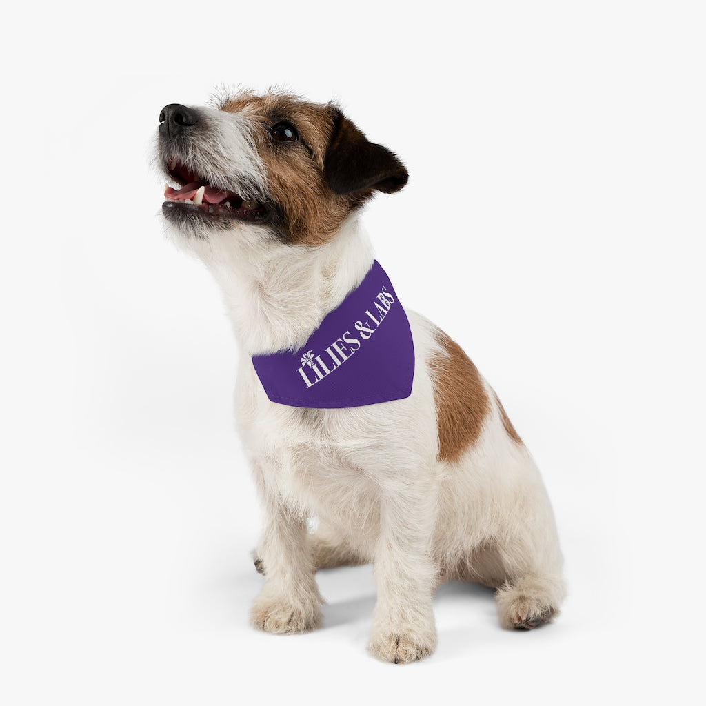 Purple Pet Bandana Collar