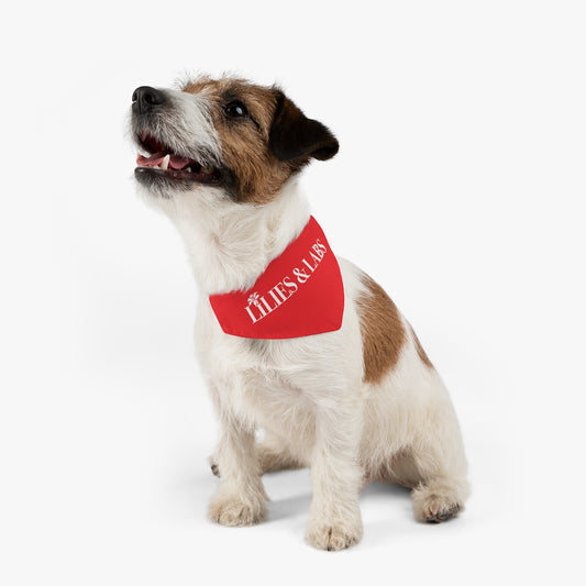 Red Pet Bandana Collar