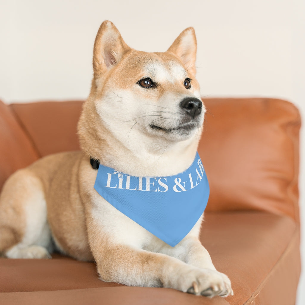 Blue Pet Bandana Collar