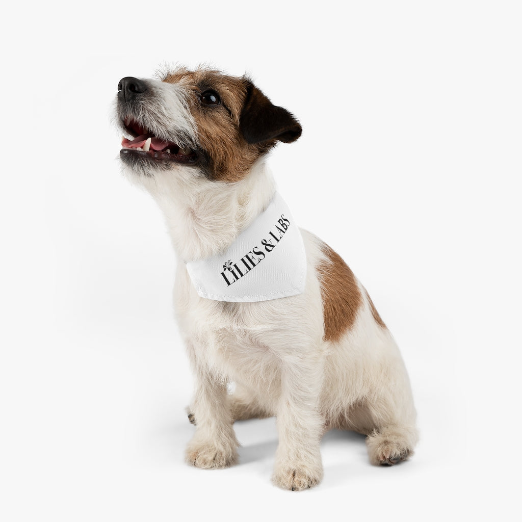 White Pet Bandana Collar